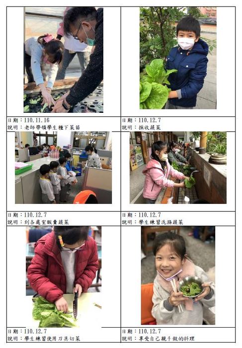 二、(二)自編家庭教育課程教材或設計教學活動圖片
