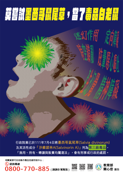 莫嘗試墨西哥鼠尾草，當了毒品白老鼠。圖片